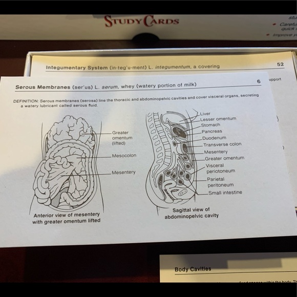 Study Cards - Human Anatomy - Picture 3 of 7